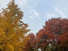 -长辛店二七公园