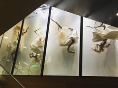 -诚品(信义店)