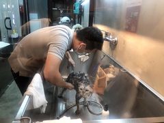 -PETKIT小佩宠物·低压洗护(国顺东路店)