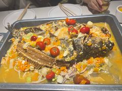 -美蛙四季(望京凯德茂店)