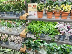 -鹿岛生活(熙地港店)