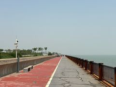-东堤公园