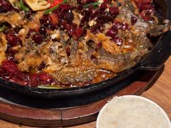 -老板恋上鱼(恒隆广场店)