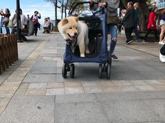 -淡水老街