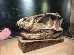 -自贡恐龙博物馆