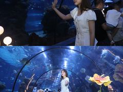 -南昌海洋公园