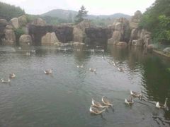 iphone_upload_pic-白马涧龙池景区
