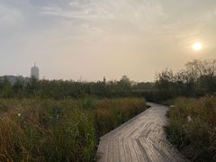 -永定河休闲森林公园