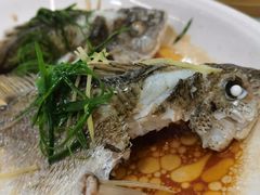 -八仔大富楼·河鲜(西江店)
