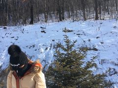 -亚布力新体委滑雪场