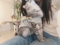 -共舞时光猫咖·狗咖(新街口店)