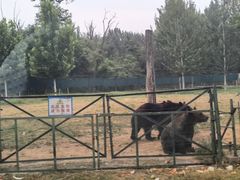 -秦皇岛野生动物园