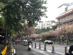-星巴克(成都锦里店)