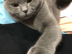 -冯百汇羊肉馆(新安店)