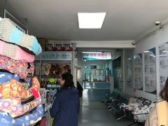 -北京观赏动物医院·24小时大型综合·猫专科·异宠专科