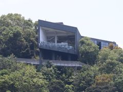 -福道