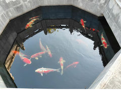 -西安市广仁寺