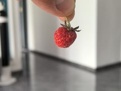 -吉林大学前卫校区南区-日新楼