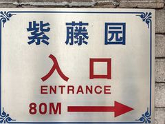-嘉定紫藤园