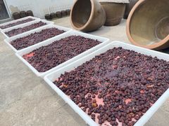 -苏州市吴中区光福窑上花果蜜饯厂