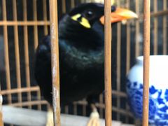 -到家尝北京菜(西坝河店)