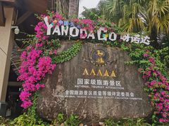-呀诺达热带雨林