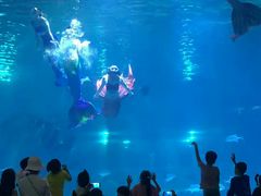 -福州罗源湾海洋世界旅游区