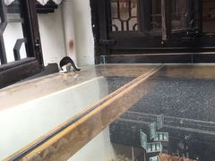 -猫的天空之城概念书店(杭州南宋御街店)