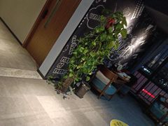 -梵猫·新养生(湛江鼎盛店)