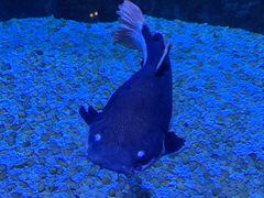 -成都浩海立方海洋公园