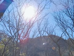 -玉渡山自然风景区