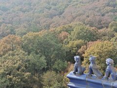-灵谷景区