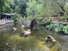 -国恩寺