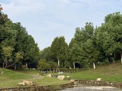 -滨湖塘西河公园
