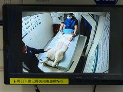 -谐和益家动物医院·免疫绝育·血液透析·宠保定点医院(高新伊藤分院)