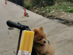 -三圣花乡旅游区