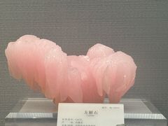 -湖南省地质博物馆