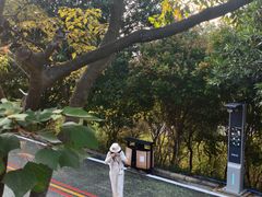 -火炉山森林公园