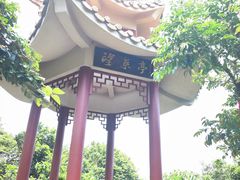 -海南铜鼓岭景区