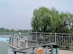 -绿堤公园