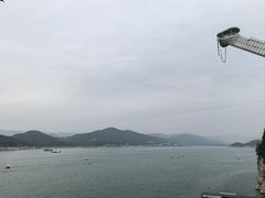 -望湖烤鱼