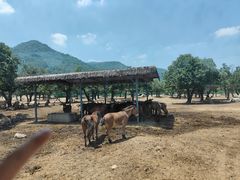 -西安秦岭野生动物园