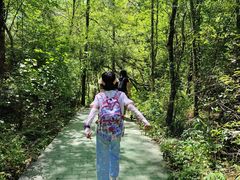 -叠溪松坪沟景区