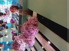 -浩海火烧云傣家菜(京广店)