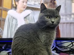 -阿荣24H宠物医院·综合型转诊中心·CT·核磁影像中心
