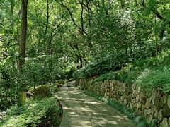 -杭州半山国家森林公园