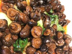 花菇菜心-董厨煨汤馆(车站路店)