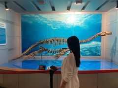 -自贡恐龙博物馆