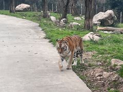-西安秦岭野生动物园