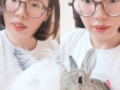 -猫猫幼稚园·撸猫·桌游·电玩